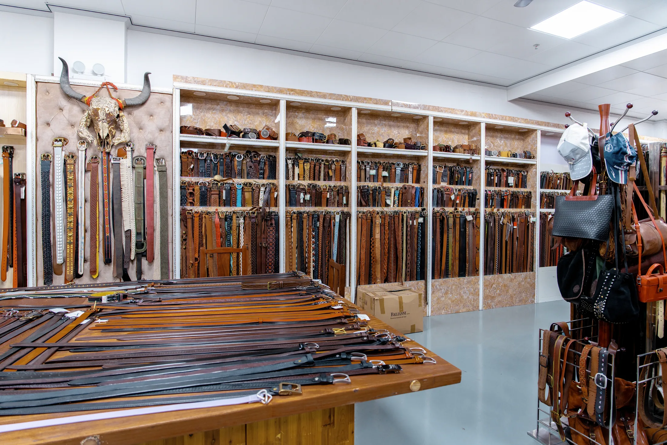 公司展示 3